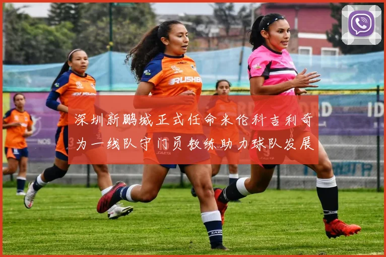 深圳新鹏城正式任命米伦科吉利奇为一线队守门员教练助力球队发展